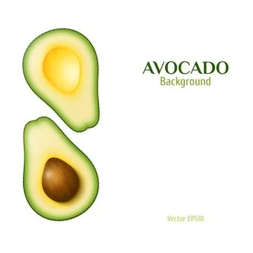 Vector realistic avocado Stock Illustration