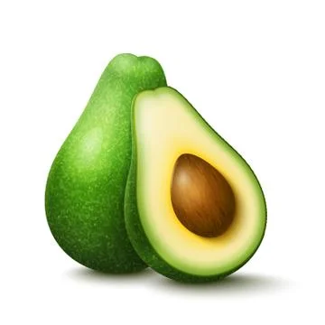 Vector realistic avocado Stock Illustration