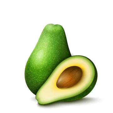 Vector realistic avocado Stock Illustration