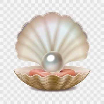 Vector realistic beautiful 3D opened shell with shining pearl inside isolated on Illustrazione stock