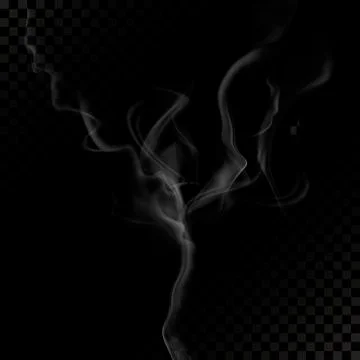 Vector of Realistic Cigarette Smoke or Fog or Haze. Vector isolated realistic Stock Illustration