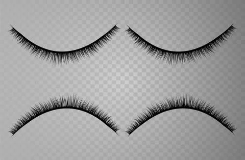 Vector realistic collection of false lashes. Trendy fashion illustration for Stock Illustration