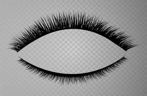 Vector realistic collection of false lashes. Trendy fashion illustration for Stock Illustration
