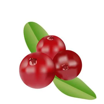 Vector realistic cranberries Stock Illustration