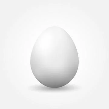 Vector realistic egg with shadow. Isolated on white background イラスト素材