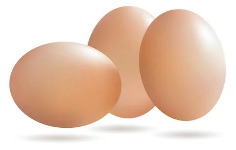 Vector Realistic eggs with drop shadow isolated on white background. Stock-Illustration