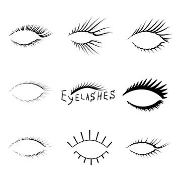 Vector realistic eyelash textures. 스톡 일러스트