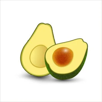 Vector realistic fresh fruit avocado isolated on white background. Whole and  Illustrazione stock