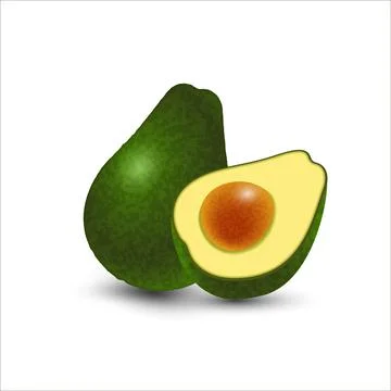 Vector realistic fresh fruit avocado isolated on white background. Whole and  Stock Illustration