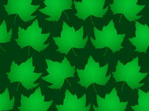 Vector realistic green maple leaves Stock Illustration