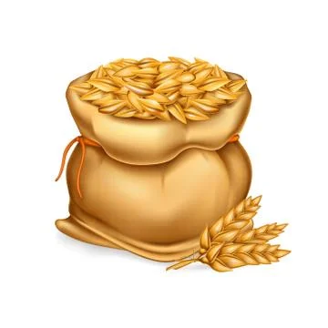 Vector realistic illustration of a bag with wheat, barley and sprigs of ears. Illustrazione stock