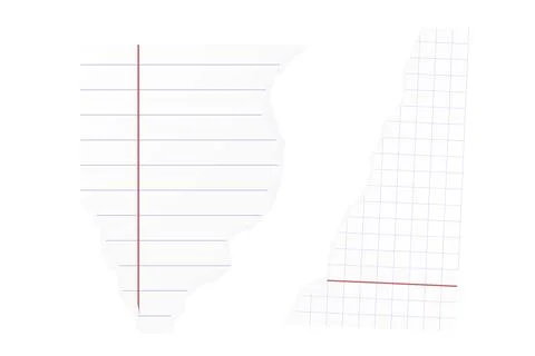 Vector realistic illustration , line and cell paper scrap, notebook sheet Stock Illustration