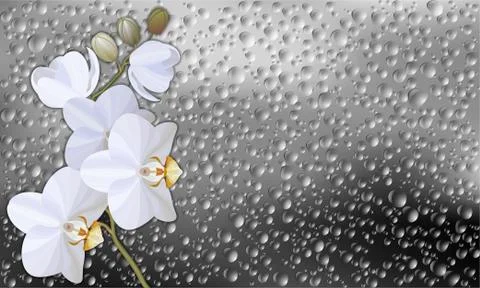 Vector realistic illustration of raindrops on window glass texture Stock Illustration