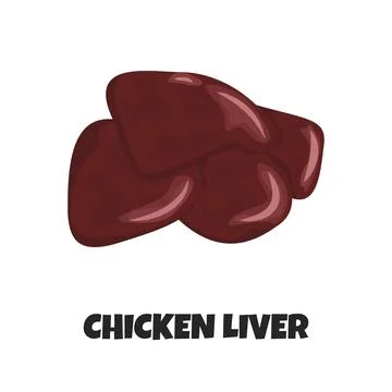 Vector Realistic Illustration of Raw Chicken Liver. Concept Design Stock Illustration