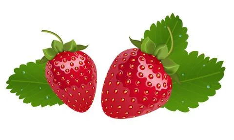 Vector realistic isolated strawberries Stock Illustration