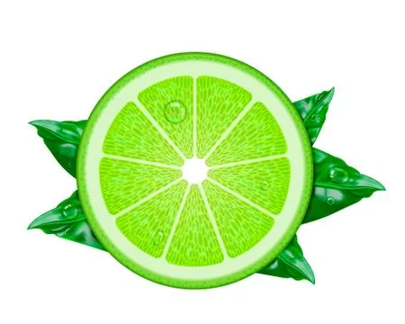 Vector realistic Lime. Illustration from a mesh gradient. Ilustração Stock