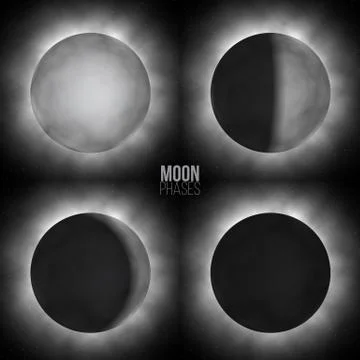 Vector realistic moon phases. Four basic moon phases. Stock Illustration