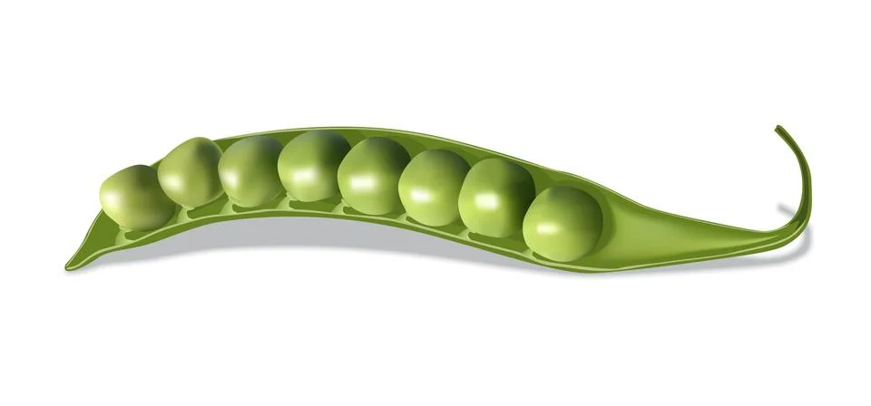 Vector realistic peas on white background Stock Illustration