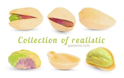 Vector realistic pistachio nuts with dry 3d shell. イラスト素材