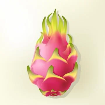 Vector Realistic Pitaya or Dragon Fruit Illustration Stock Illustration
