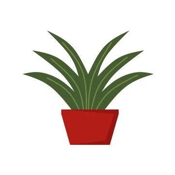 Vector realistic plant in pot. Stock Illustration