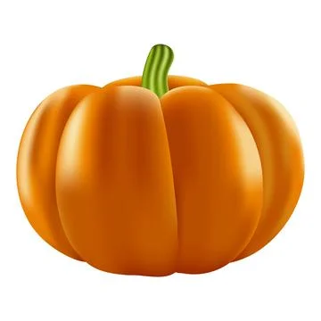 Vector realistic pumpkin isolated Stock-Illustration