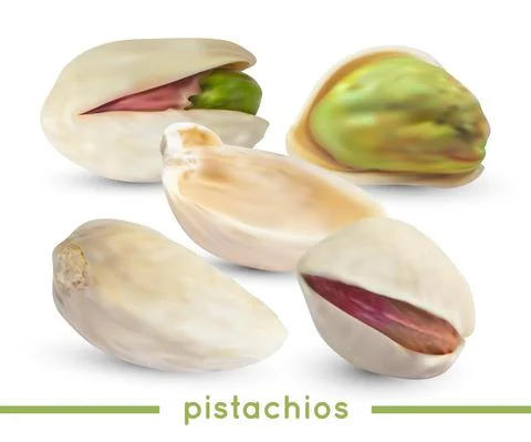 Vector realistic raw pistachio nuts with shell. Snack food illustration. Stock Illustration