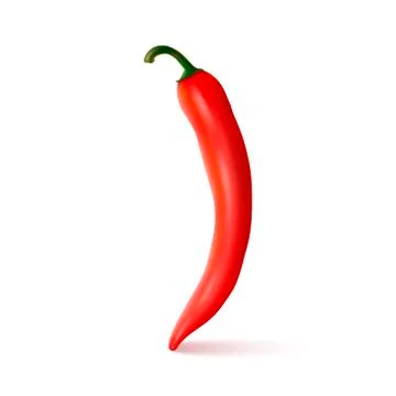 Vector realistic red hot natural chili pepper. Design template or clipart for Stock Illustration