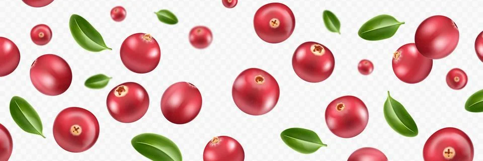 Vector realistic red juicy falling cranberry fruit isolated on transparent Illustrazione stock