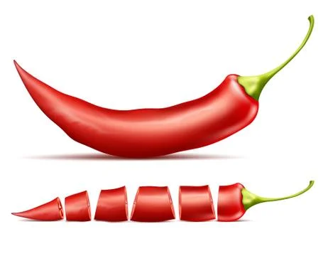 Vector realistic red pod of hot chili pepper 스톡 일러스트
