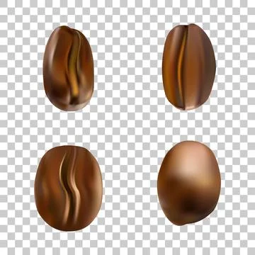 Vector realistic roasted coffee seeds for creation seamless pattern, decoration Stockillustratie