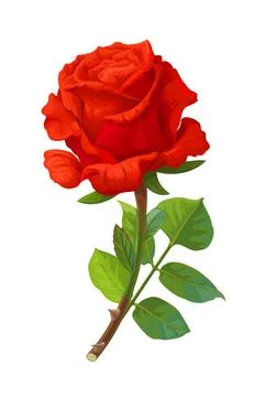 Vector realistic rose flower art Stock Illustration