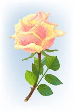 Vector realistic rose flower art Stock Illustration