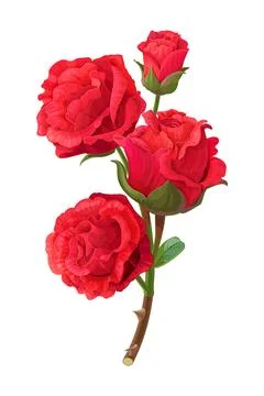 Vector realistic rose flower art Stock Illustration