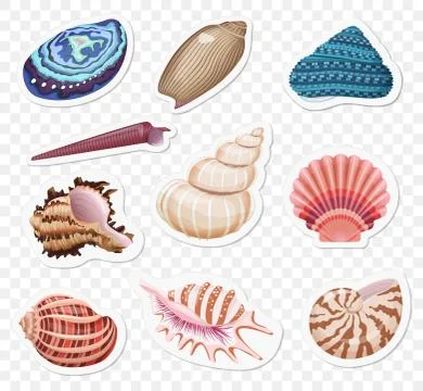 Vector realistic sea shells stickers sset on the transperant alpha background. イラスト素材