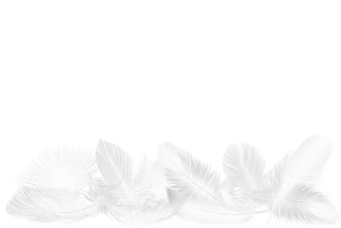 Vector realistic soft white falling fluffy twirled feathers set isolated on on Illustrazione stock