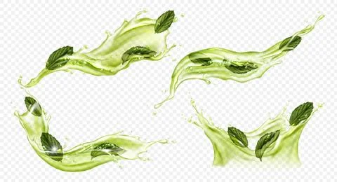 Vector realistic splash of green tea or matcha Stock Illustration