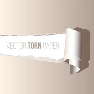 Vector realistic torn paper with shadow. Illustrazione stock