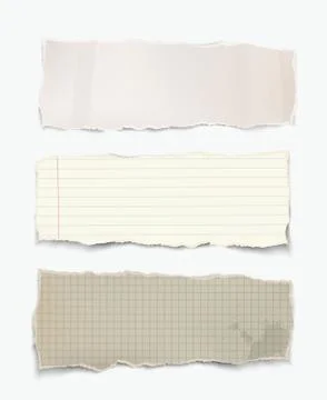 Vector realistic torn pieces of paper. Stock Illustration