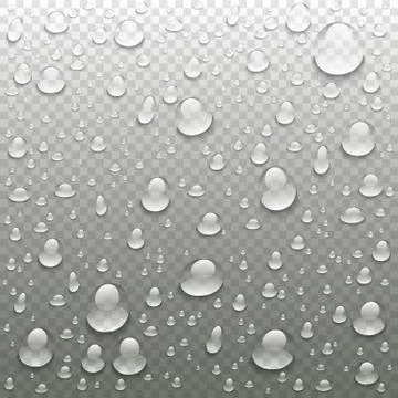Vector realistic water drops on transparent background. Rain drops without sh Stock Illustration