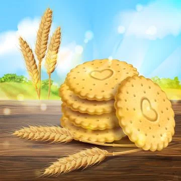Vector realistic wheat cookies packaging ad Illustrazione stock