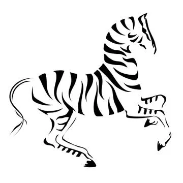 Vector rear up zebra with white stripes on black background. Illustrazione stock