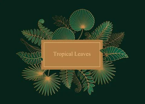 Vector rectangular banner with tropical leaves Stock Illustration