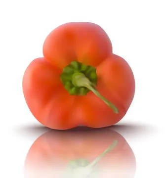 Vector red bell pepper Stock Illustration