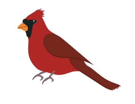 Vector Red Cardinal Stock Illustration