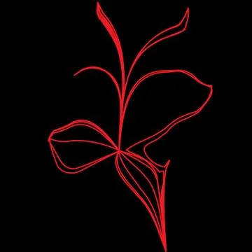 Vector red flower illustration on black Stockillustratie