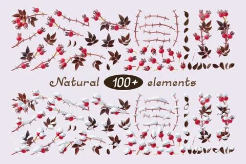 Vector red hawthorn Set Stock Illustration