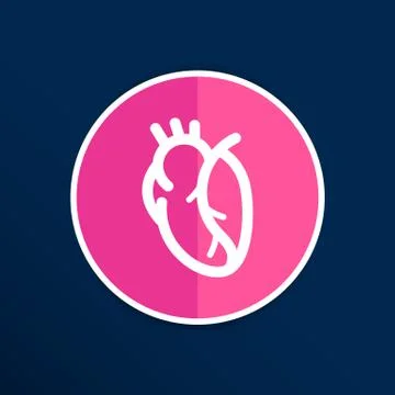 Vector red human heart icon cardio cardiovascular Stock Illustration