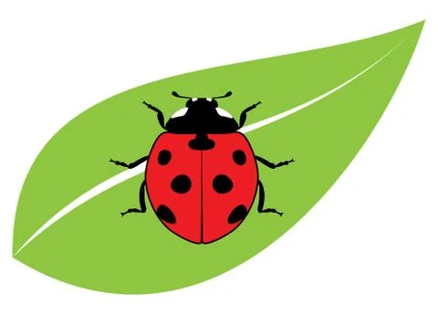 Vector red ladybird on a green leaf Stock Illustration