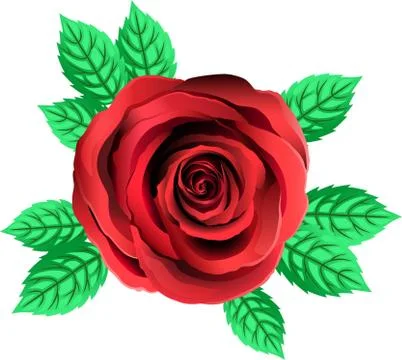 Vector Red Rose Flower. Rose Clipart With Petals And Leaf. Stock Illustration